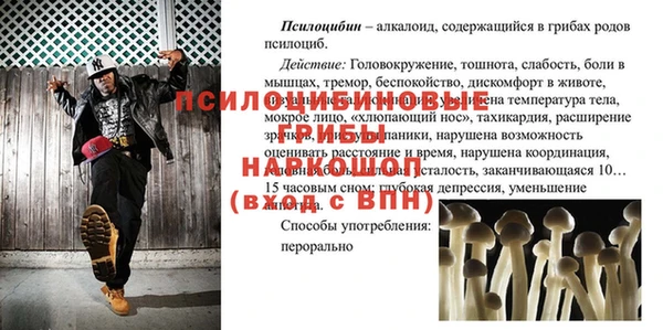 apvp Баксан
